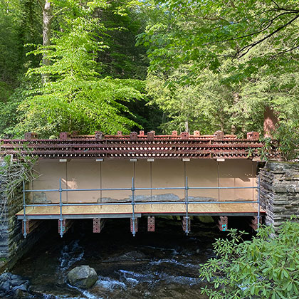 Landmark Restoration Scaffolding